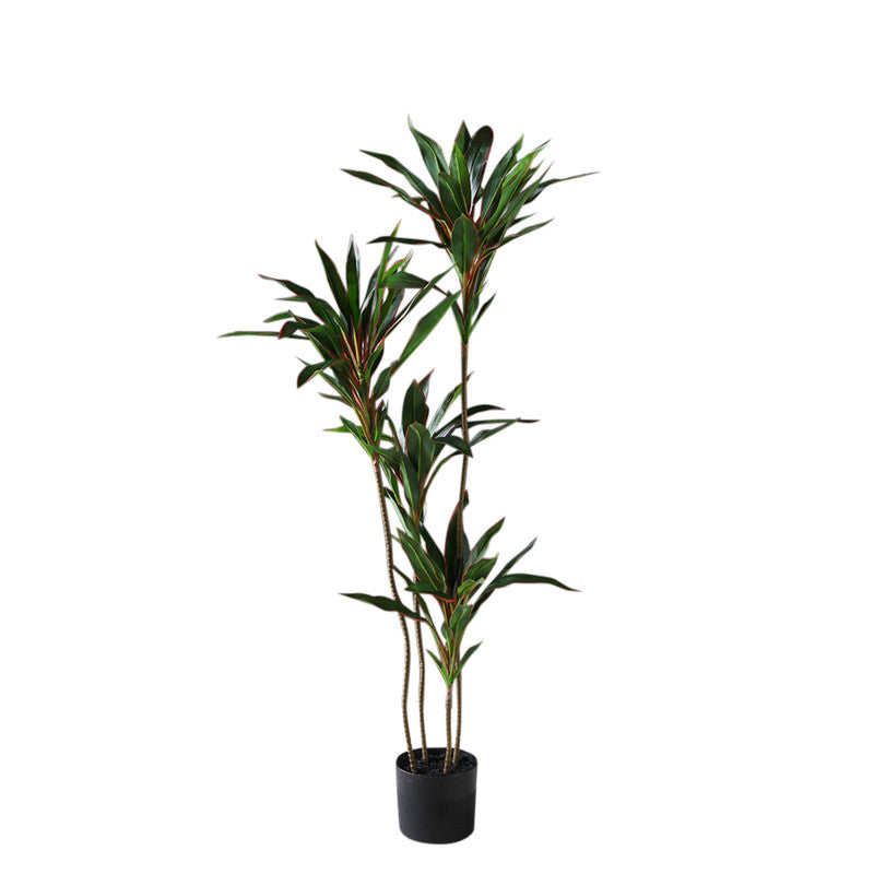 120Cm Real Touch Dracaena Tree